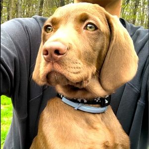 Meet your Posher, Kortnee
